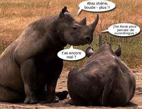 Pauvre madame rhino