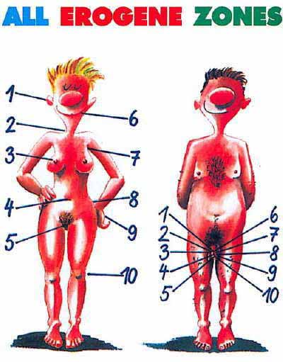 Zones érogènes