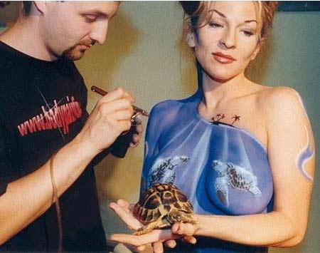 La tortue prend la pose pour être peint sur des seins